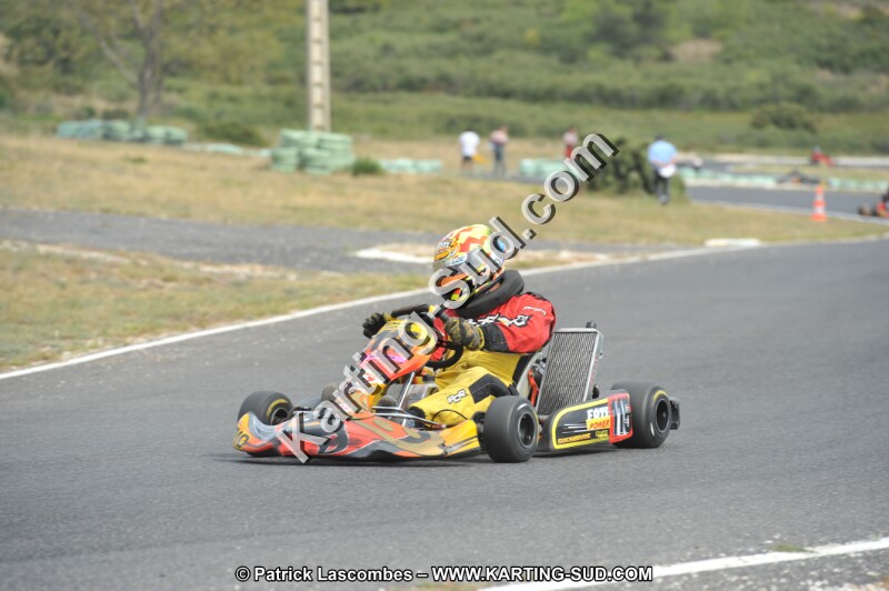 DSC (3511).JPG